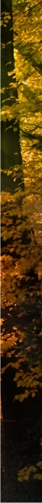 Fotogalerie-Rechts